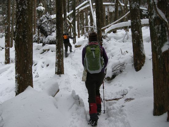 英彦山・四王寺滝　2014.02.16_f0196109_18225915.jpg