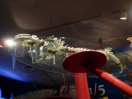 c0062511_2224693.jpg