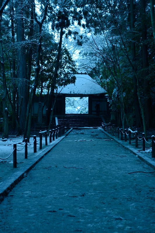 京都の町に雪が積もったぞ～！法然院_f0032011_19344626.jpg