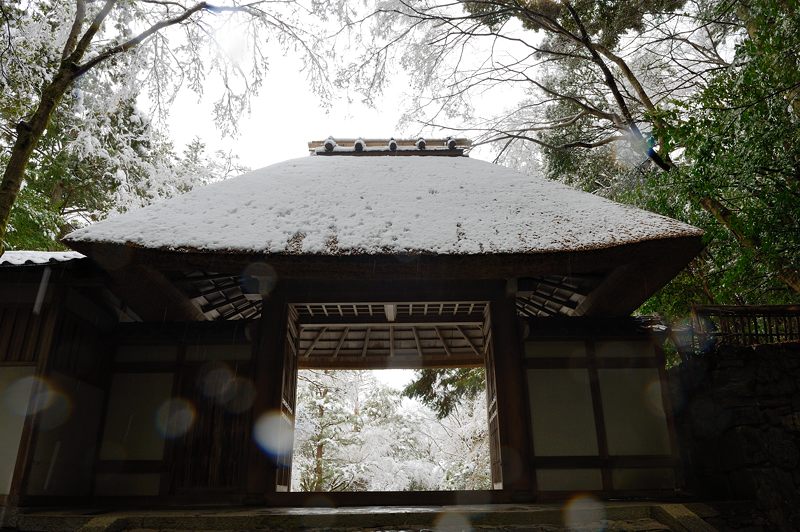 京都の町に雪が積もったぞ～！法然院_f0032011_19345570.jpg