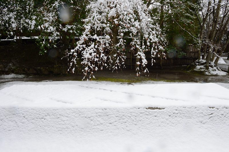 京都の町に雪が積もったぞ～！法然院_f0032011_19351453.jpg