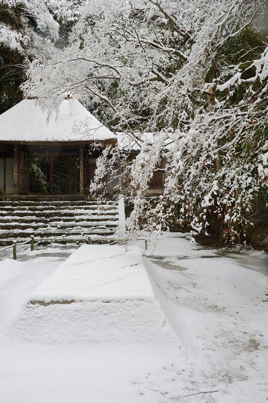 京都の町に雪が積もったぞ～！法然院_f0032011_1935685.jpg