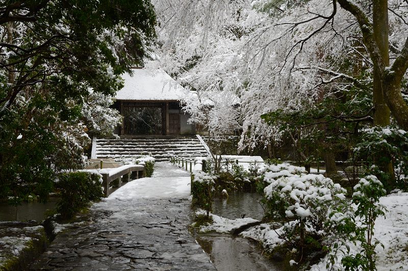 京都の町に雪が積もったぞ～！法然院_f0032011_19363326.jpg