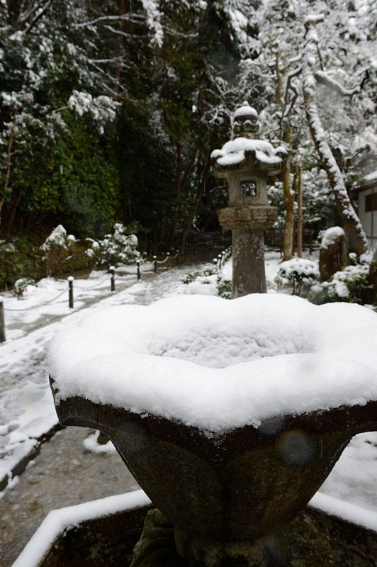 京都の町に雪が積もったぞ～！法然院_f0032011_19364423.jpg