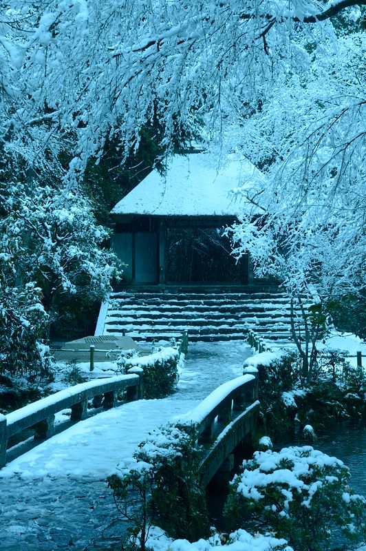 京都の町に雪が積もったぞ～！法然院_f0032011_1937734.jpg