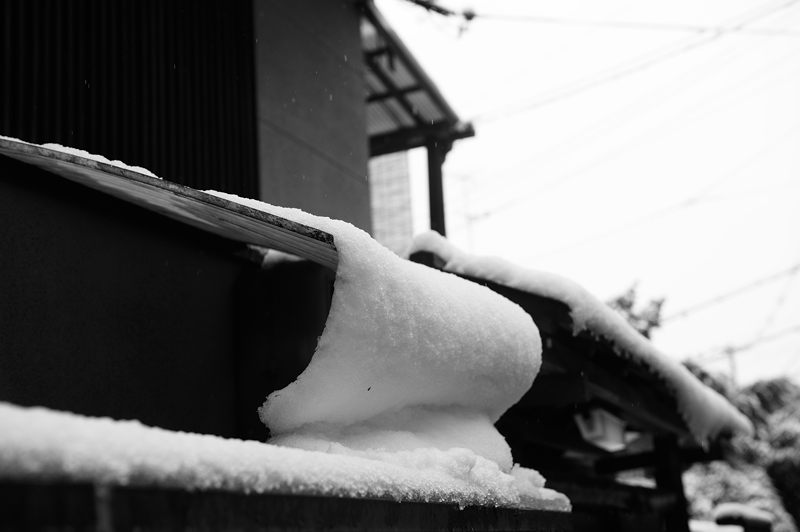 京都の町に雪が積もったぞ～！法然院_f0032011_19384219.jpg