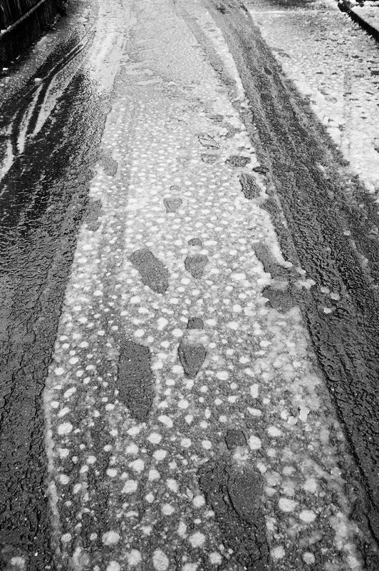 京都の町に雪が積もったぞ～！法然院_f0032011_19384915.jpg