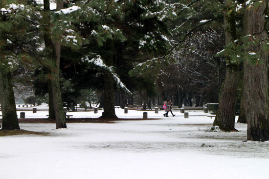 e0048413_1835991.jpg