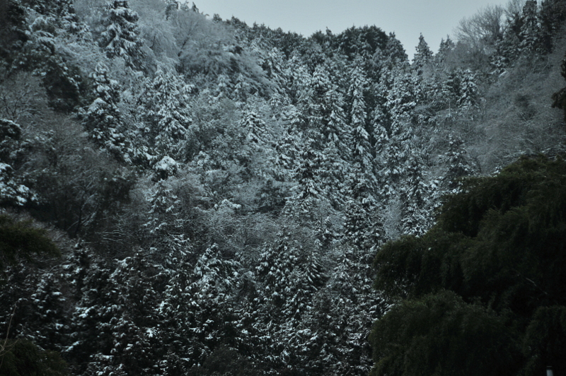 菊間の奥はまたも雪景色_f0184314_1621825.jpg