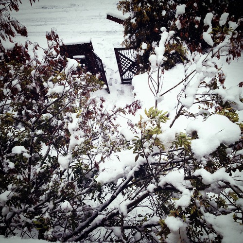雪の日に☆_b0115615_15375875.jpg