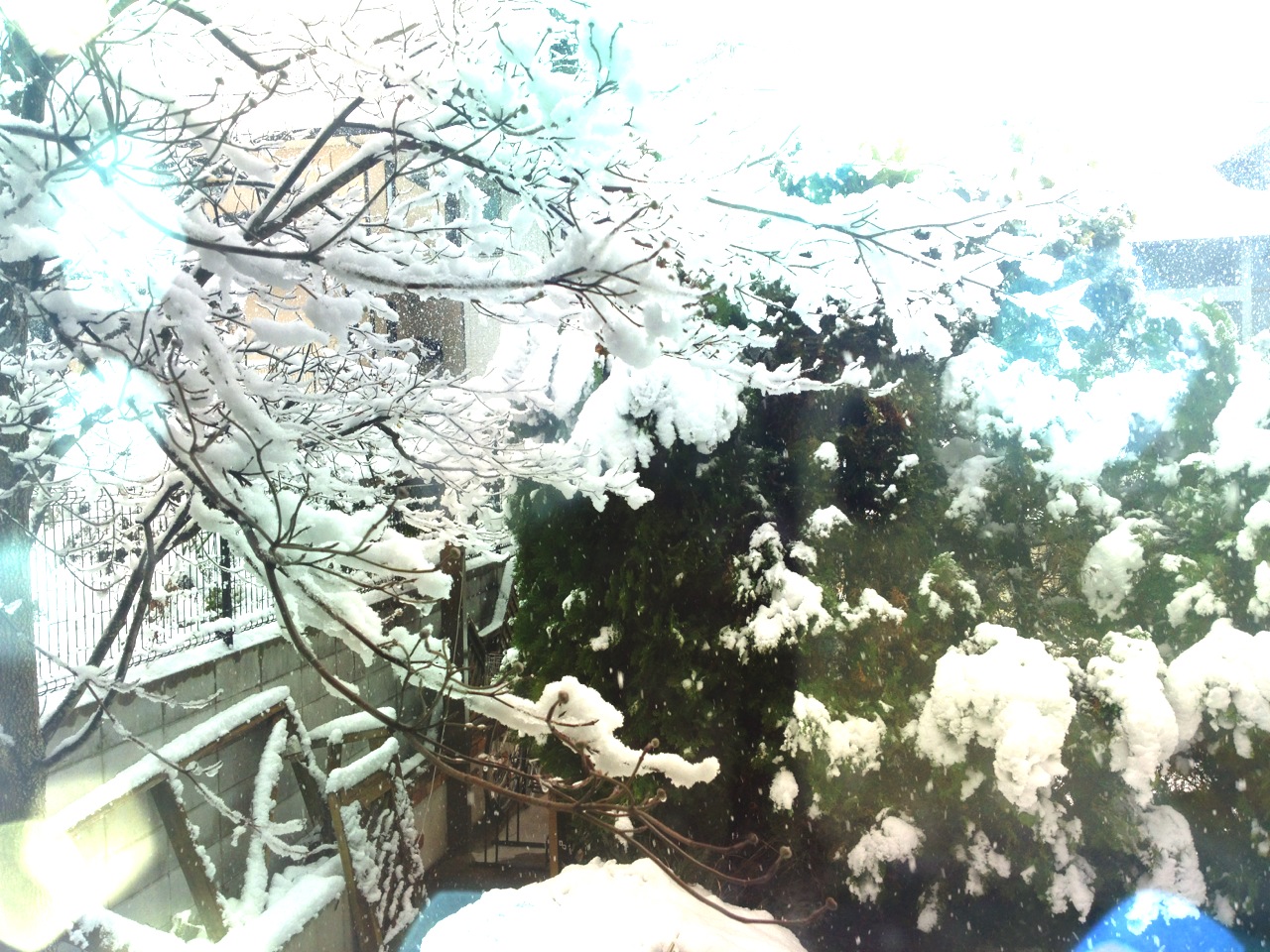 雪の日に☆_b0115615_1543188.jpg