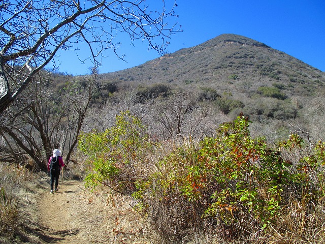 ZUMAキャニオンの2つのループトレイル　　　　　Ocean View-Canyon View-Zuma Loop Trail in Zuma Canyon, Malibu_f0308721_5422123.jpg