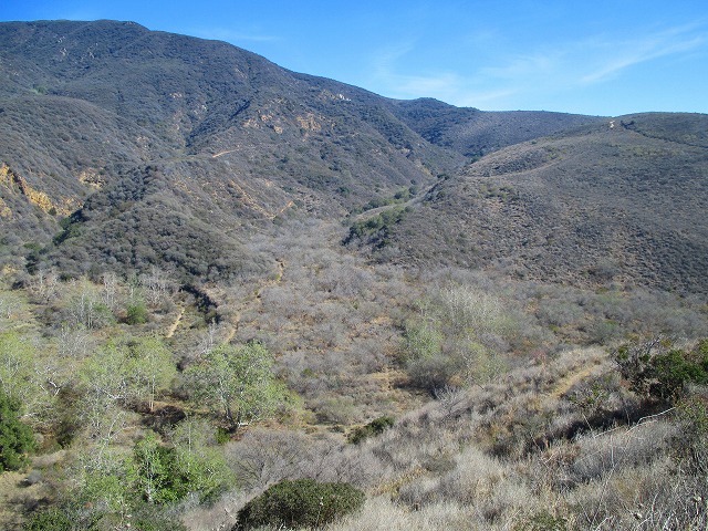 ZUMAキャニオンの2つのループトレイル　　　　　Ocean View-Canyon View-Zuma Loop Trail in Zuma Canyon, Malibu_f0308721_557432.jpg