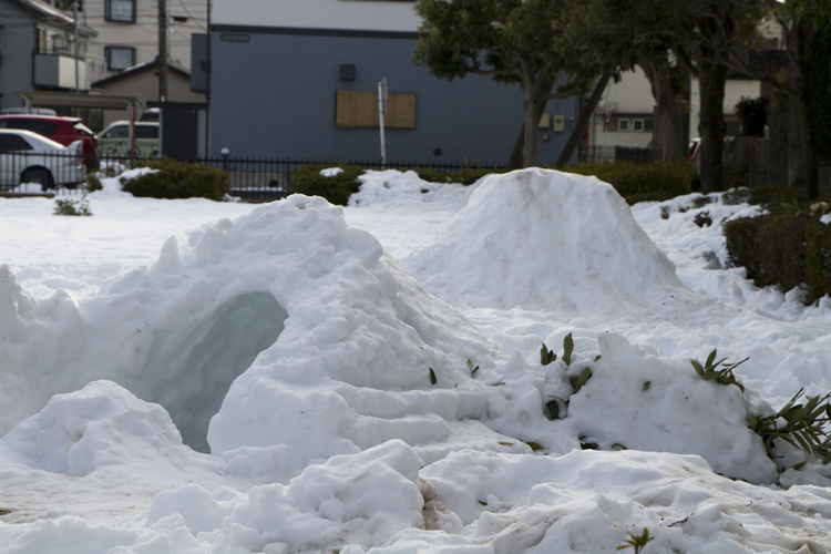 大雪その後_a0229634_11145173.jpg