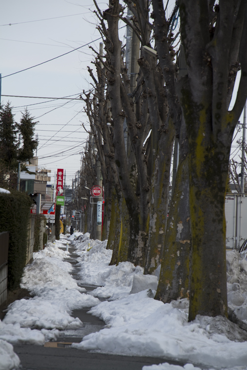 大雪その後_a0229634_11153263.jpg