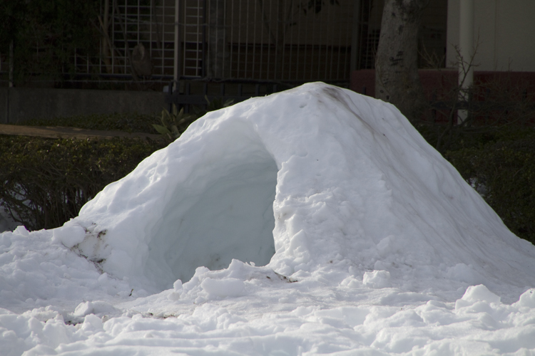 大雪その後_a0229634_1115661.jpg