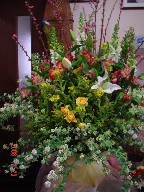 a0158236_11544113.jpg
