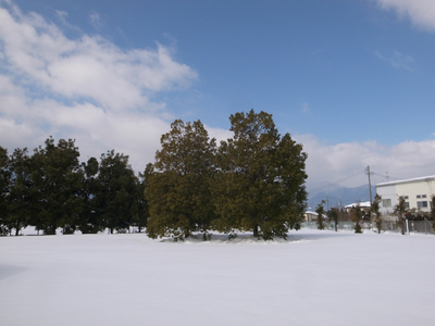 a0014840_23294789.jpg