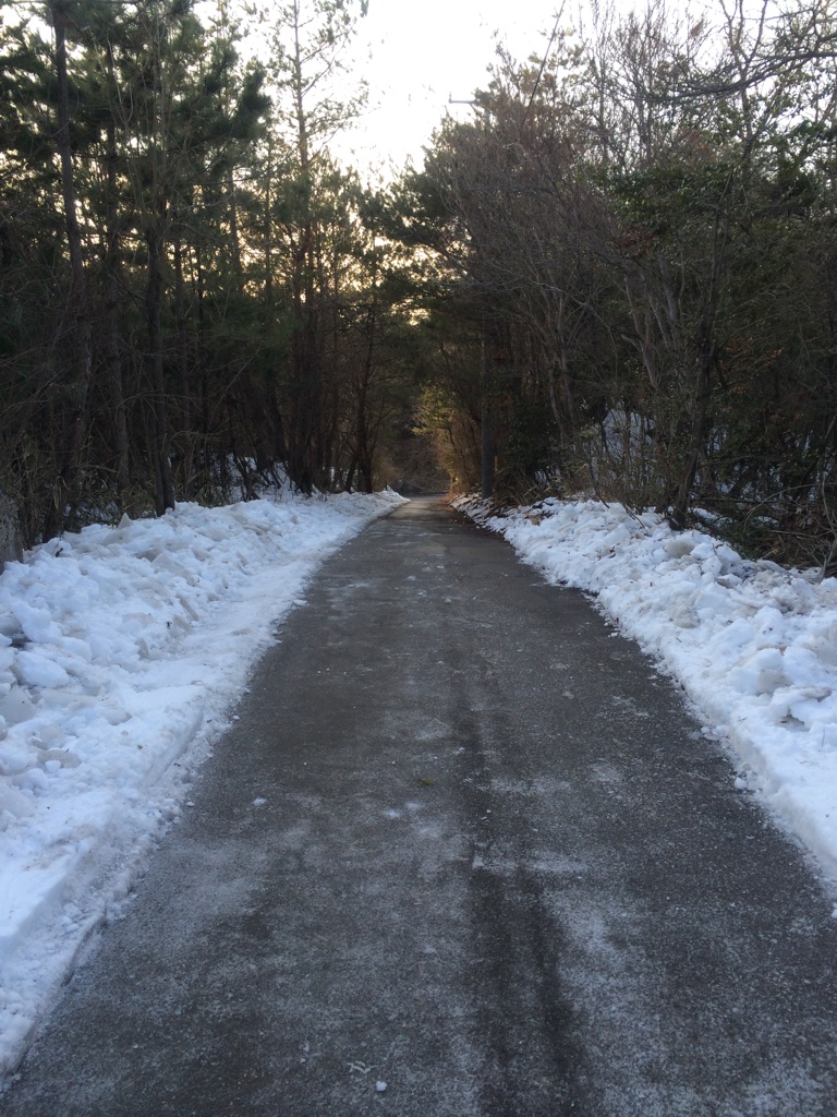 明日2月19（水）、積雪のためコースを閉鎖をさせて頂きます。_e0313043_18295557.jpg