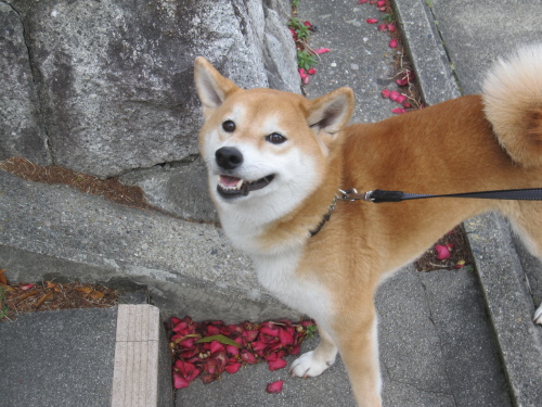 f0245650_08065563.jpg
