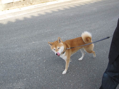 f0245650_08185039.jpg