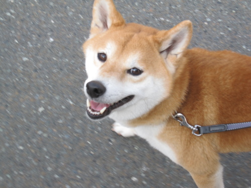f0245650_08202661.jpg