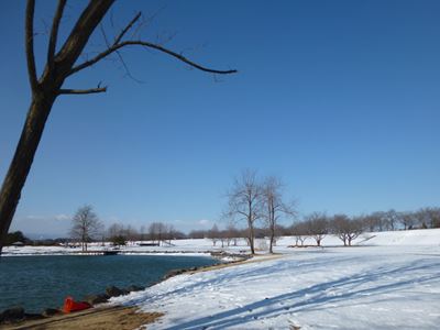 b0220251_529066.jpg