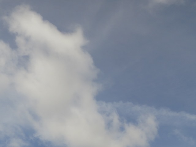 e0017051_2355698.jpg