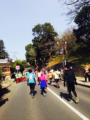 熊本城マラソン2014出場! そして…!!_e0198352_1029.jpg