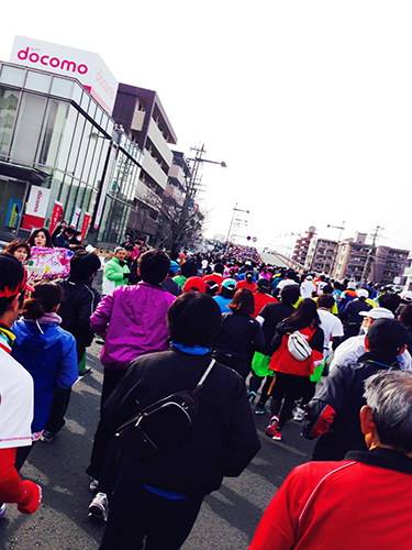 熊本城マラソン2014出場！　そして…！！_e0198352_122560.jpg