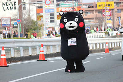 熊本城マラソン2014出場！　そして…！！_e0198352_154542.jpg