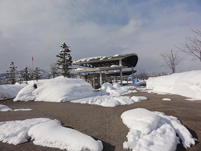 八色の森公園の冬_a0084753_16421598.jpg