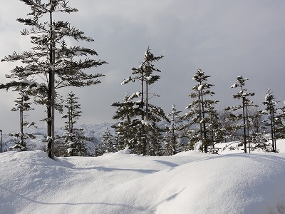 八色の森公園の冬_a0084753_16425675.jpg