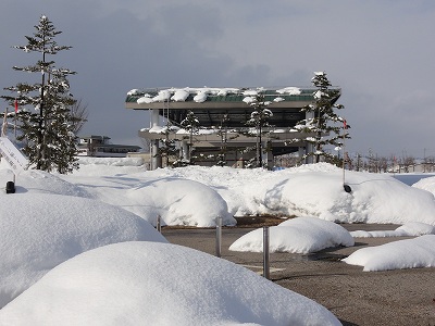 八色の森公園の冬_a0084753_16434544.jpg