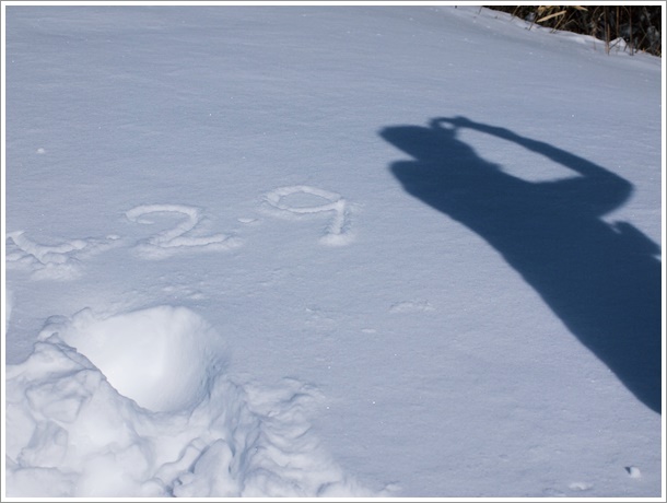 陣馬形山（1,445m）　2014年2月10日　【3】_b0319255_2213233.jpg