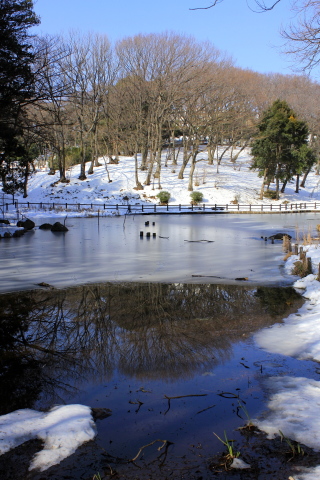 アンパンマン 参上　。。。! ?_a0248459_20080962.jpg