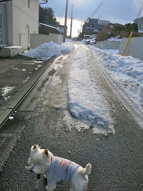 雪かきの跡_c0260460_1612673.jpg