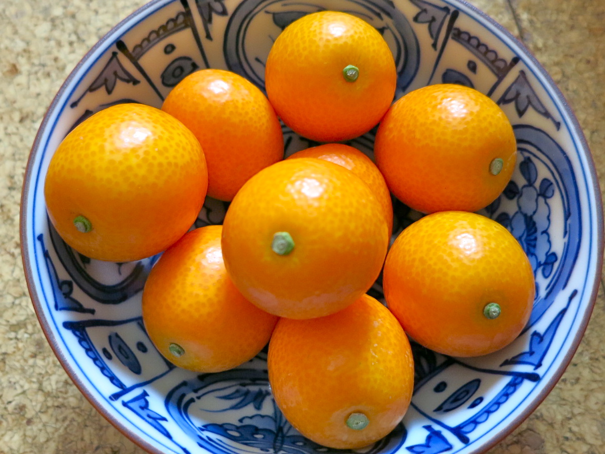 初めての味(金柑)_c0260460_16434118.jpg