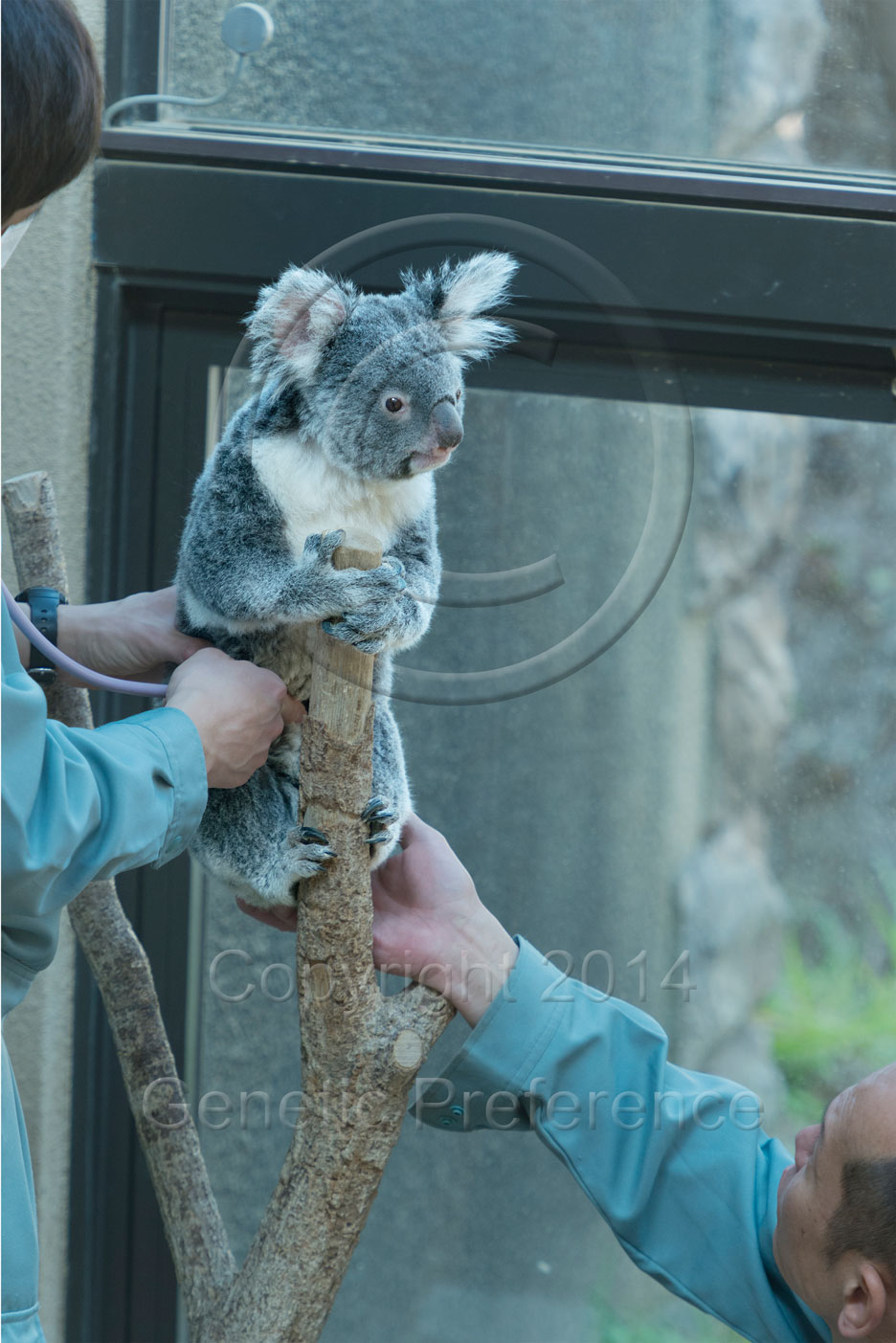 王子動物園2014.Feb. Vol.7_a0111162_21131249.jpg