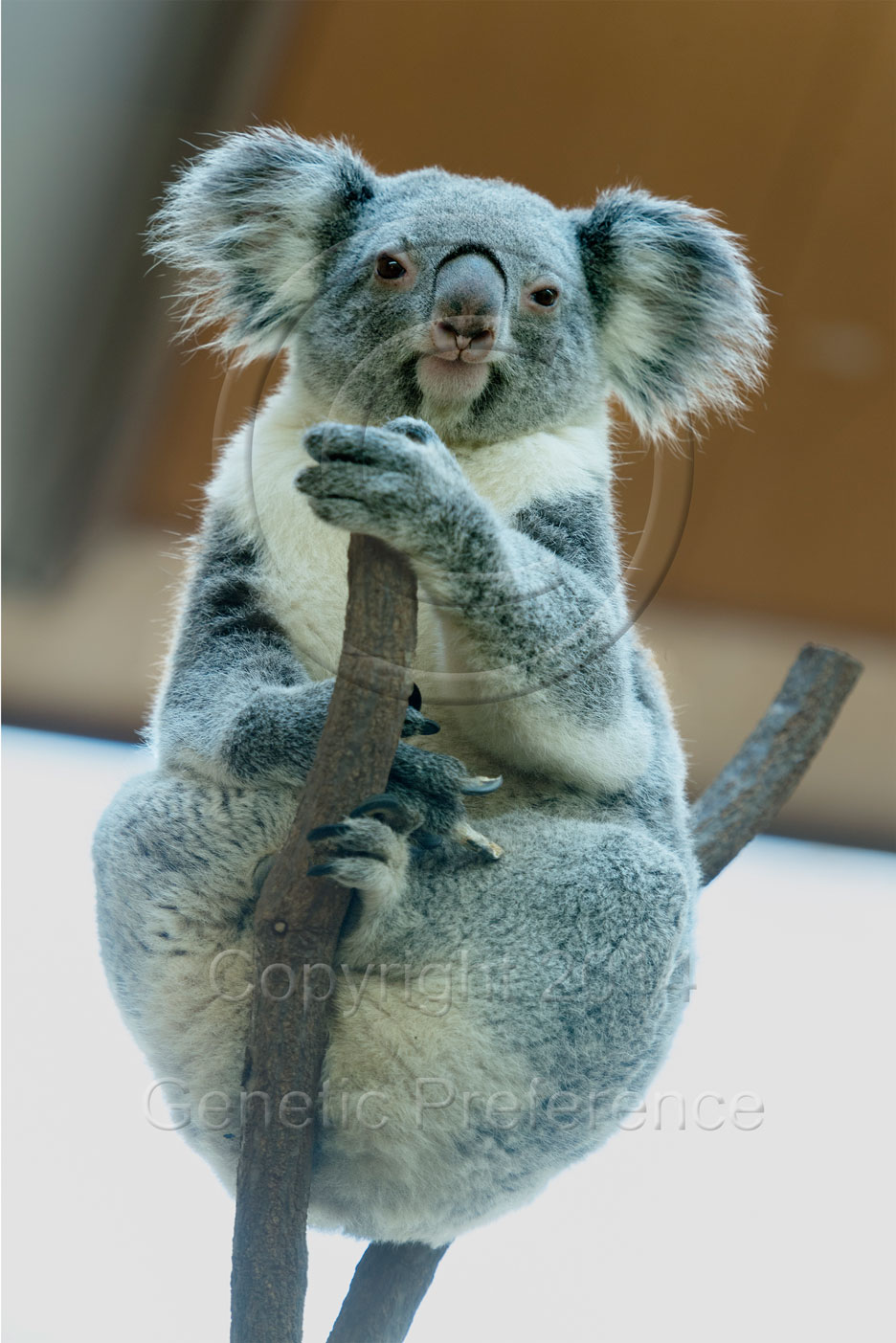 王子動物園2014.Feb. Vol.7_a0111162_21134528.jpg