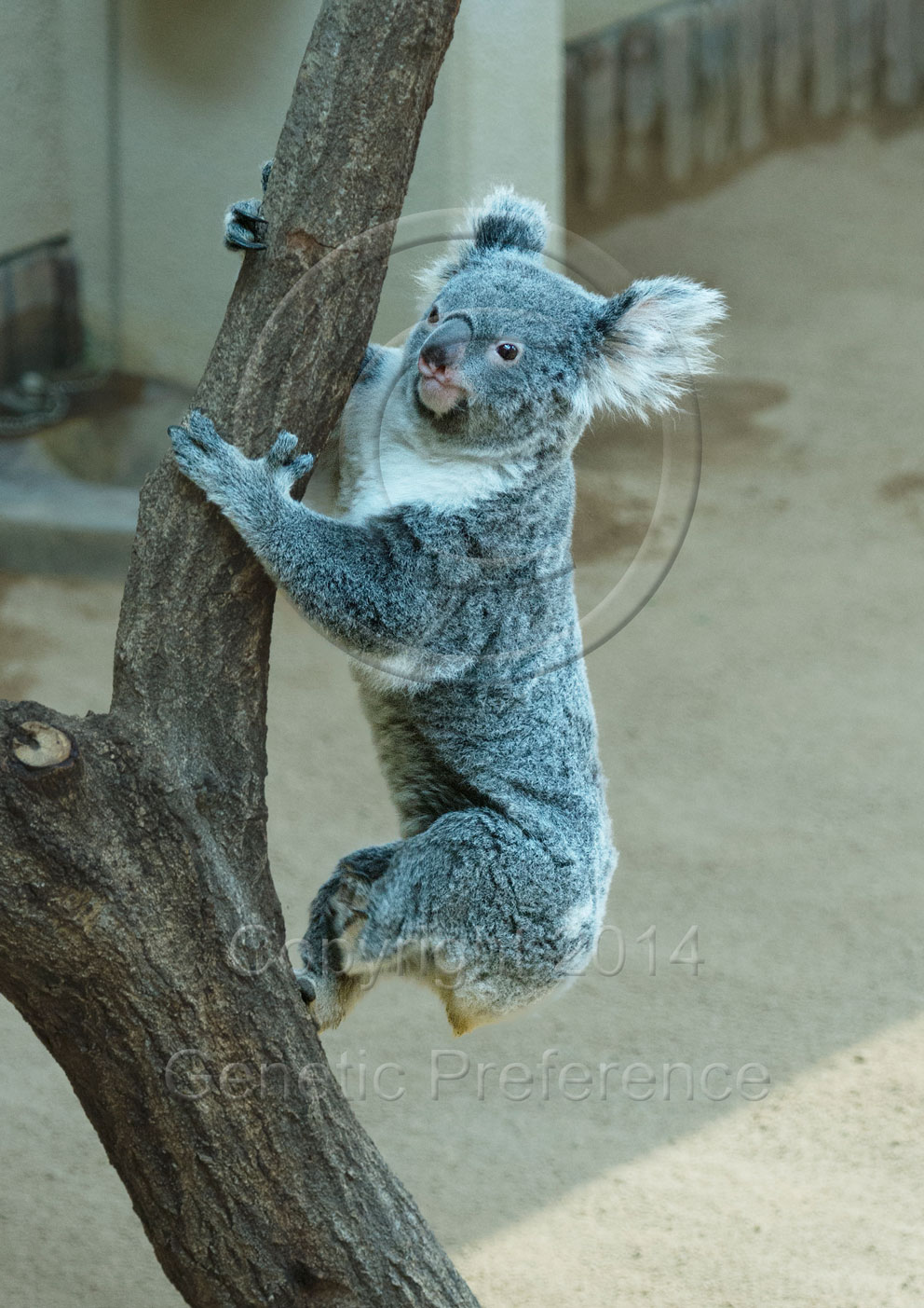 王子動物園2014.Feb. Vol.5_a0111162_214093.jpg