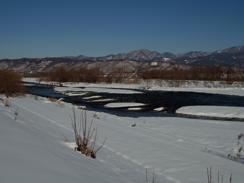 c0166668_8221.jpg