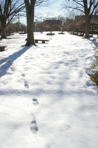 e0045768_2246288.jpg