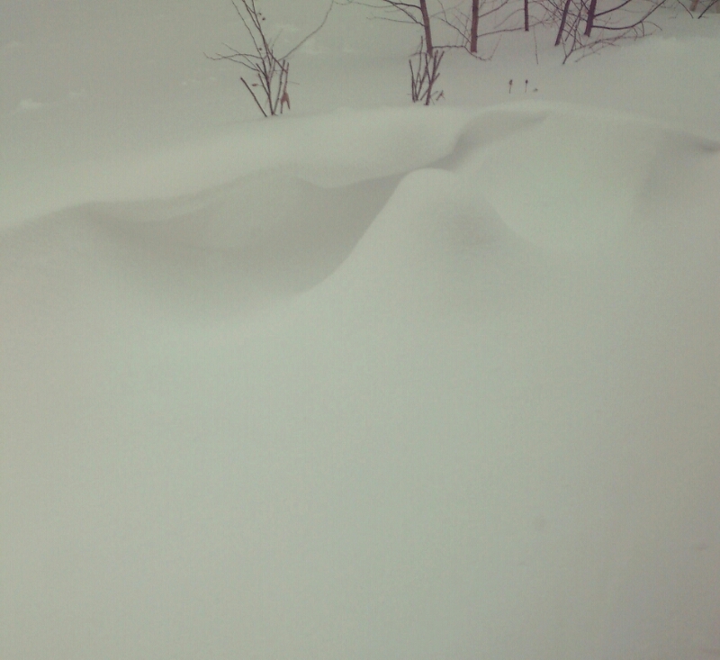 c0311170_853307.jpg