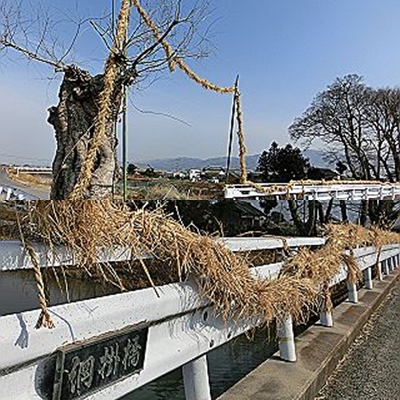 桜井市大西、江包の「御綱(ｵﾂﾅ)」とは。_d0170871_12302329.jpg