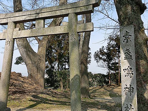 桜井市大西、江包の「御綱(ｵﾂﾅ)」とは。_d0170871_12304730.jpg