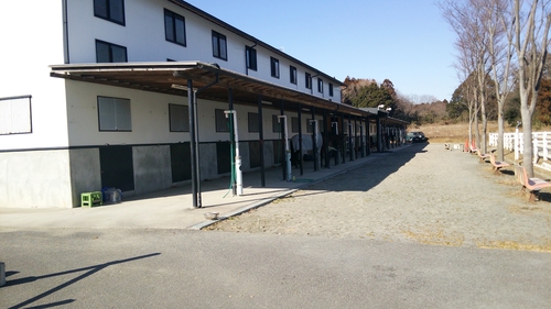 f0104377_1336520.jpg
