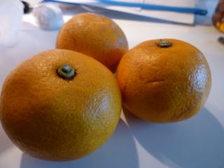 2014年2月18日 ハイ熱海です_b0098584_22185511.jpg
