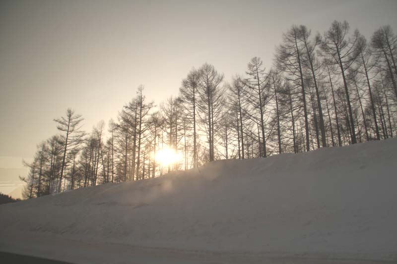 c0177785_640066.jpg
