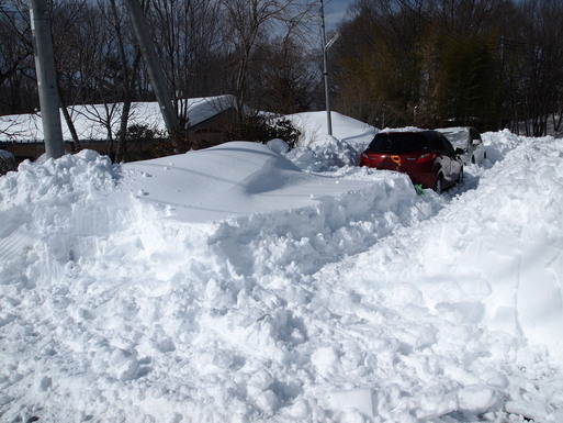 e0008887_10314130.jpg